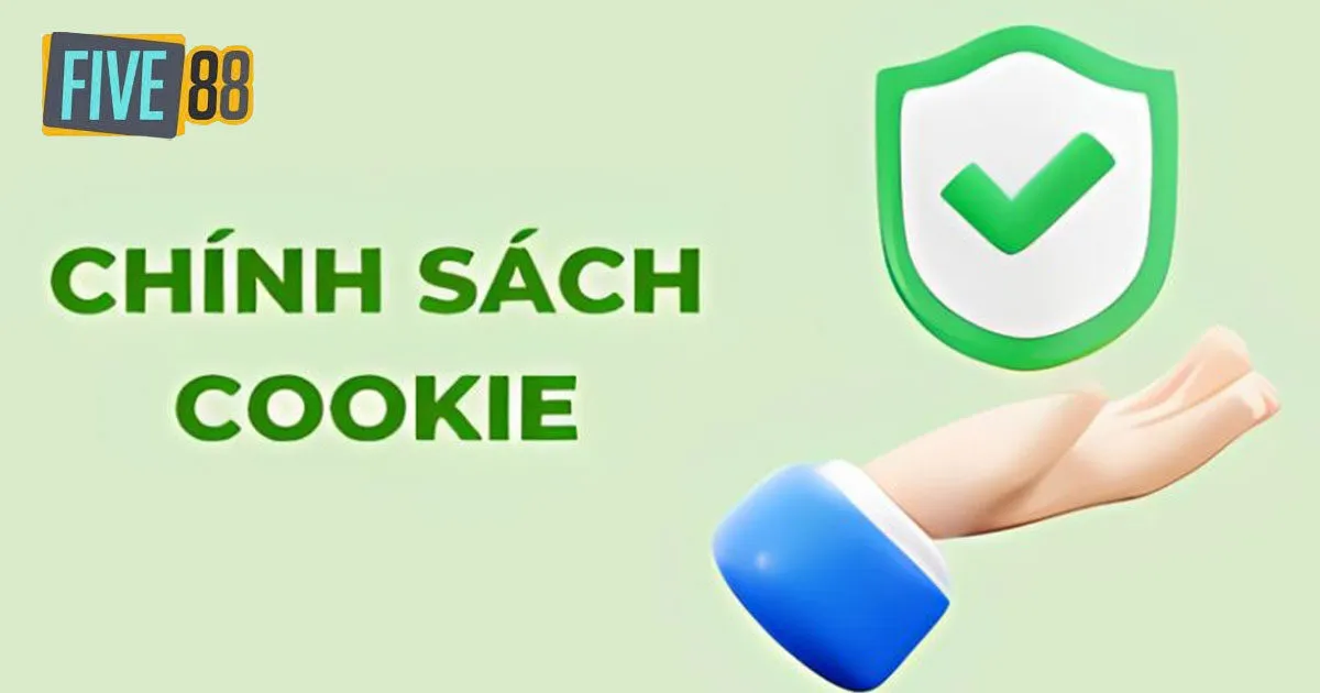 Những nội dung về chính sách cookie Five88