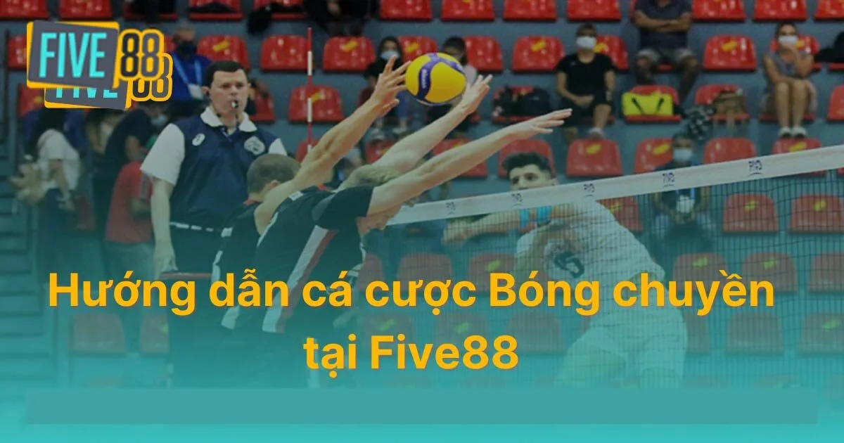 Quy luật cá cược bóng chuyền Five88